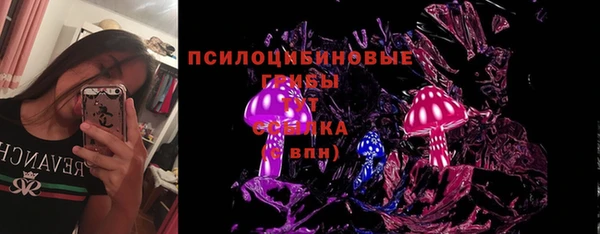 трава Абаза
