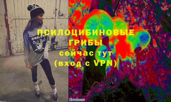 трава Абаза