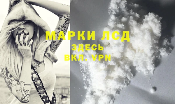 трава Абаза