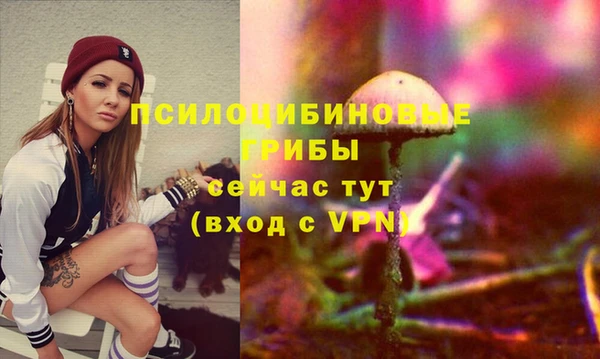 амф Абинск