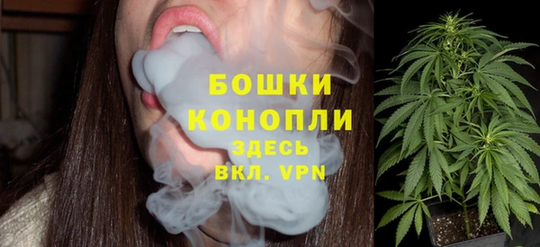 трава Абаза