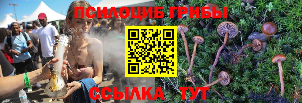 Псилоцибиновые грибы мухоморы Кандалакша