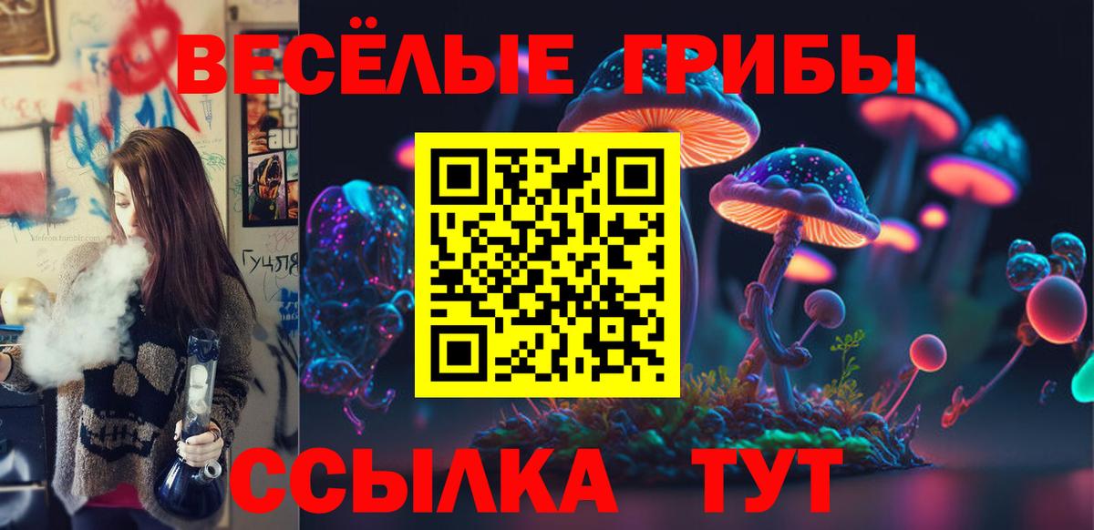 Псилоцибиновые грибы Psilocybe  Вход с VPN  Кандалакша 